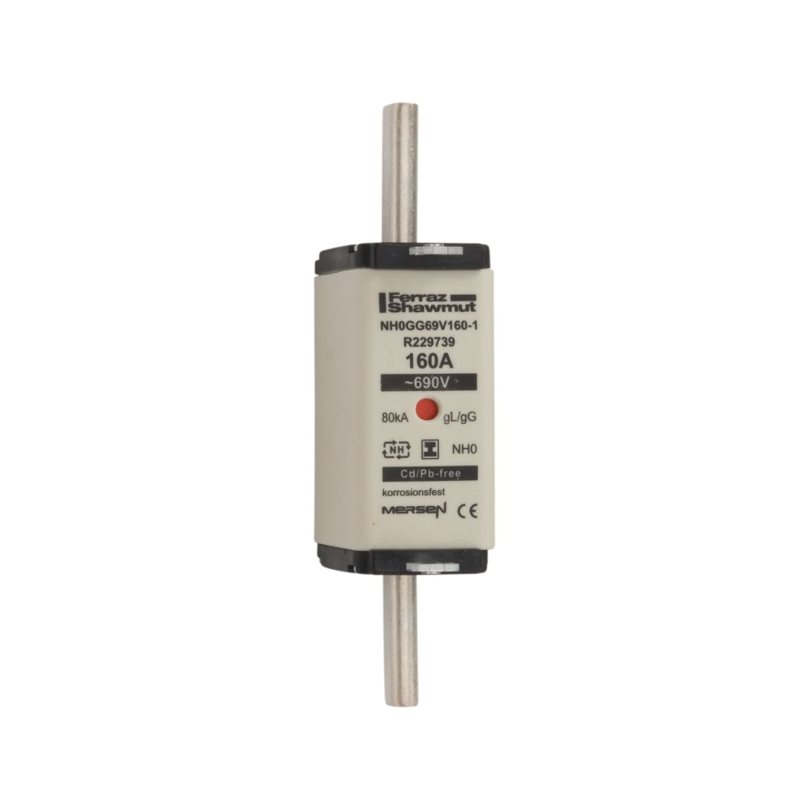 R229739 - NH fuse-link gG, 690VAC, size 0, 160A double indicator/insulated tags